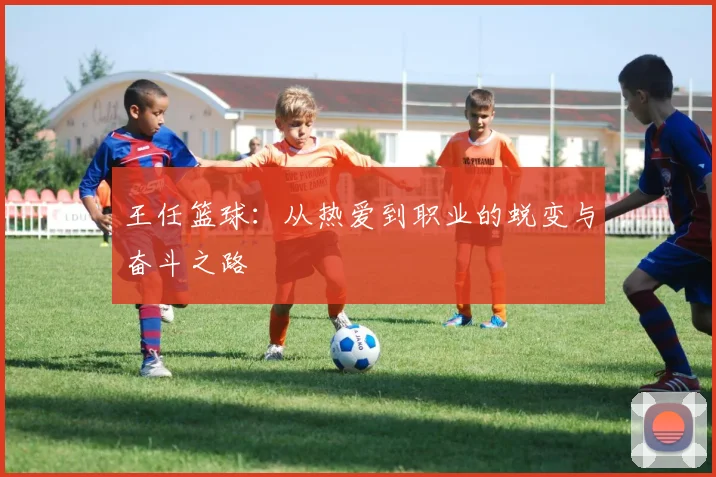 王任篮球：从热爱到职业的蜕变与奋斗之路