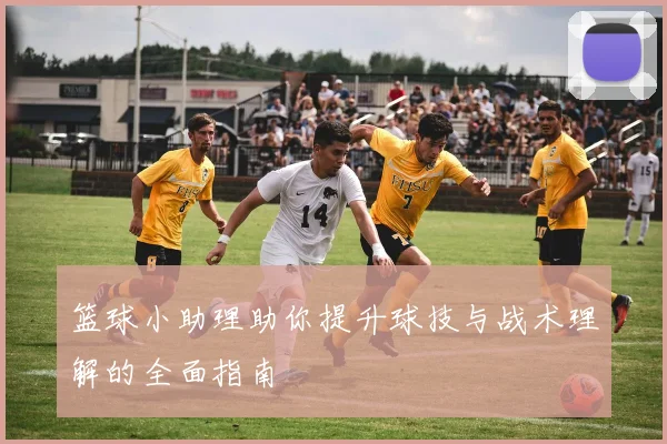 篮球小助理助你提升球技与战术理解的全面指南