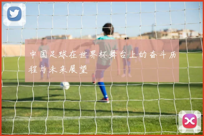 中国足球在世界杯舞台上的奋斗历程与未来展望